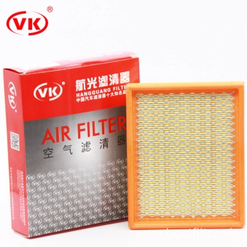 Original High Quality Factory Supply Auto Air Filter A974C 25098845